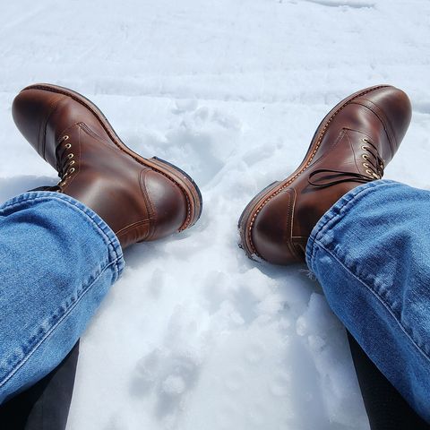 Oak Street Bootmakers Trench Boot in Horween Shackleton