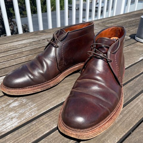 Alden 2-Eyelet Chukka in Horween Cigar Shell Cordovan