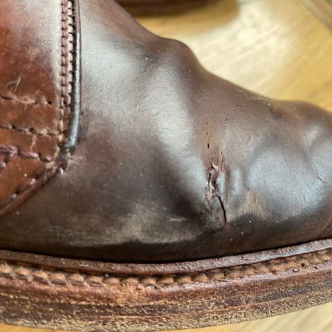 Alden 2-Eyelet Chukka in Horween Cigar Shell Cordovan