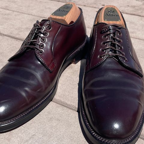 Alden Plain Toe Blucher in Horween Color 8 Shell Cordovan