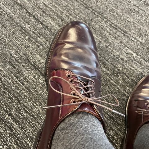 Alden Plain Toe Blucher in Horween Color 8 Shell Cordovan