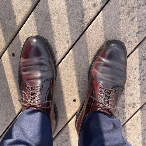 Alden Plain Toe Blucher in Horween Color 8 Shell Cordovan