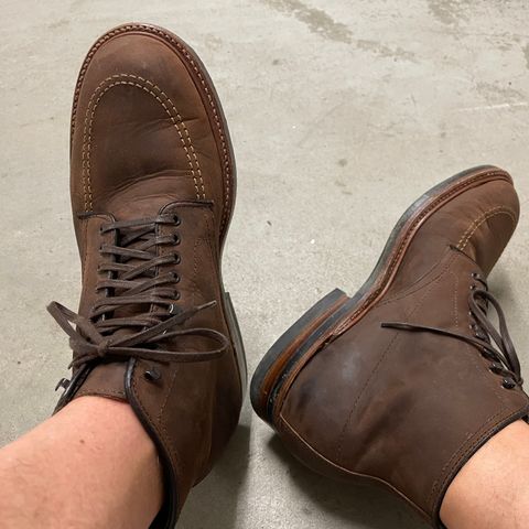 Alden Indy Boot in Horween Tobacco Smooth Chamois