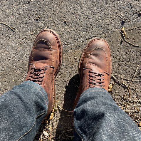 Alden Indy Boot in Horween Tobacco Smooth Chamois