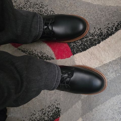 Red Wing Beckman in Black Excalibur