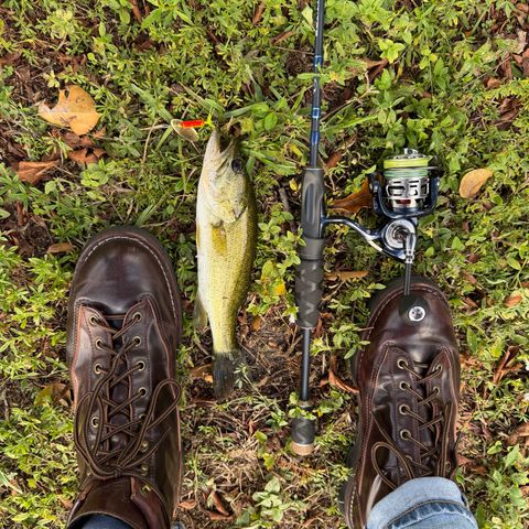 Danner Light in Horween Color 8 Shell Cordovan