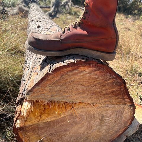 Red Wing Irish Setter Sport Boot 877 in S.B. Foot Oro Russet Abilene