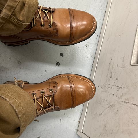 Truman Truman X American Trench Service Boot in Maryam Toscanello Cowhide