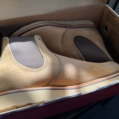 Red Wing Classic Chelsea in S.B. Foot Hawthorne Muleskinner