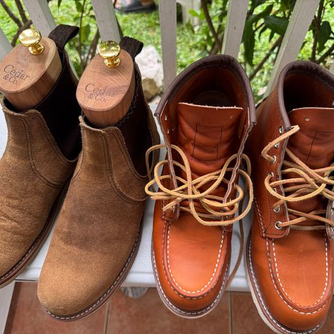 Red Wing Classic Chelsea in S.B. Foot Hawthorne Muleskinner