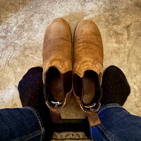 Red Wing Classic Chelsea in S.B. Foot Hawthorne Muleskinner