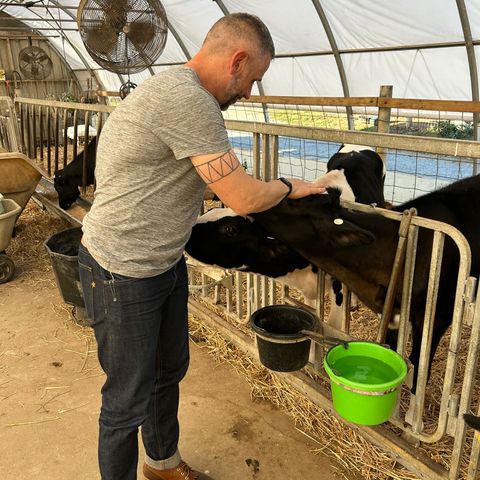 Nicks Ranger in Spokane Honey