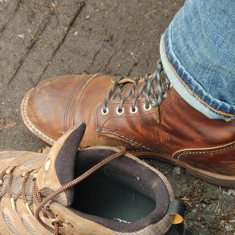 Red Wing Iron Ranger in S.B. Foot Copper Rough and Tough