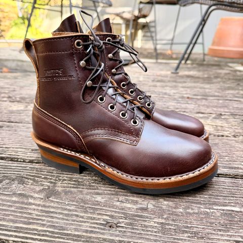 White's 350 Cruiser in Seidel Brown Double Shot