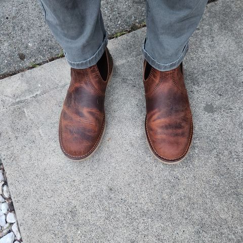 Red Wing Weekender Chelsea in S.B. Foot Copper Rough and Tough