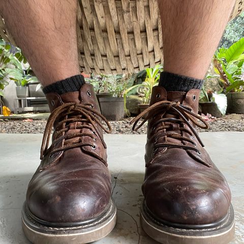 Golden Fox 6" Boondocker Boots in Brown Crazy Horse