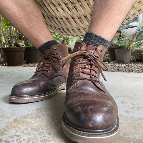 Golden Fox 6" Boondocker Boots in Brown Crazy Horse