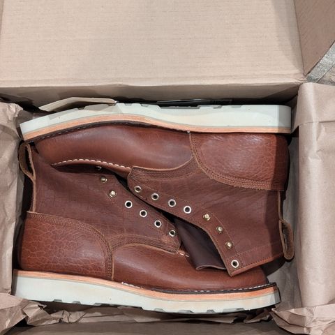 Nicks MTO in Seidel Peanut Tuscon Bison