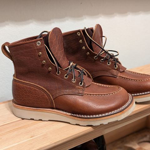 Nicks MTO in Seidel Peanut Tuscon Bison