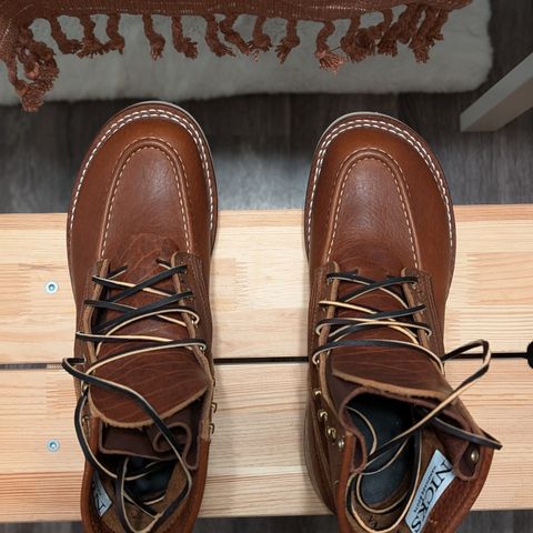 Nicks MTO in Seidel Peanut Tuscon Bison