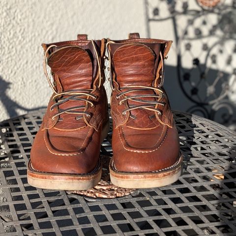 Nicks MTO in Seidel Peanut Tuscon Bison