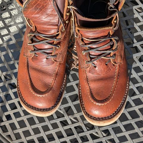 Nicks MTO in Seidel Peanut Tuscon Bison