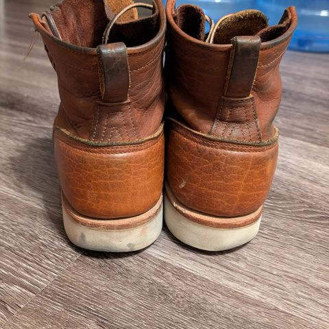 Nicks MTO in Seidel Peanut Tuscon Bison