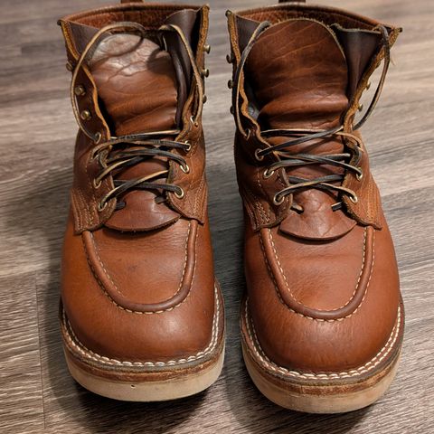 Nicks MTO in Seidel Peanut Tuscon Bison