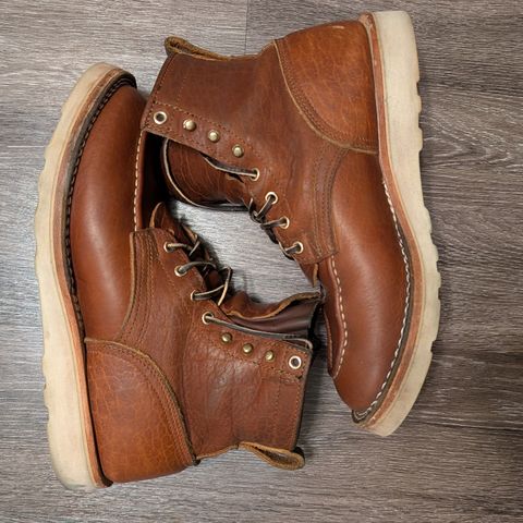 Nicks MTO in Seidel Peanut Tuscon Bison