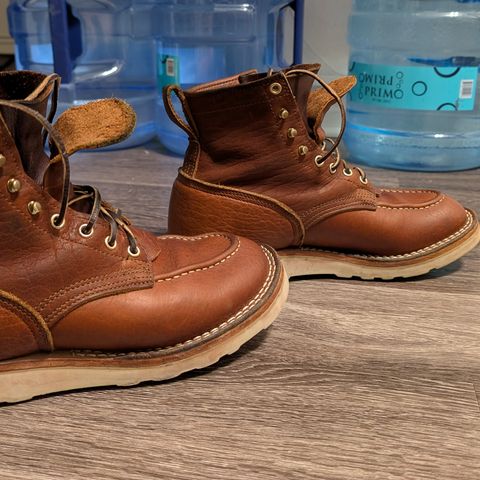 Nicks MTO in Seidel Peanut Tuscon Bison