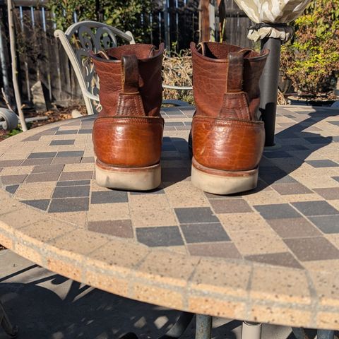 Nicks MTO in Seidel Peanut Tuscon Bison