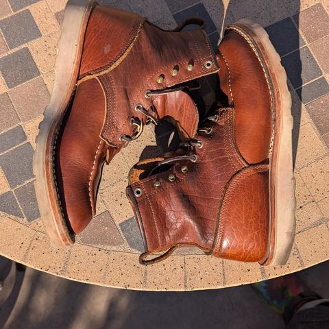 Nicks MTO in Seidel Peanut Tuscon Bison