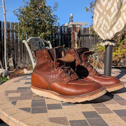 Nicks MTO in Seidel Peanut Tuscon Bison