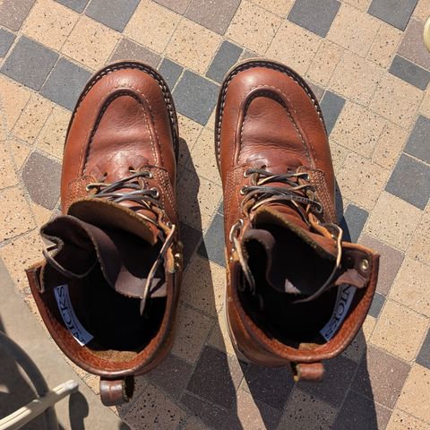 Nicks MTO in Seidel Peanut Tuscon Bison