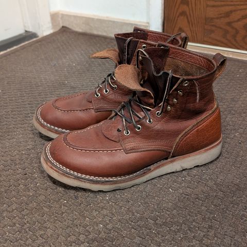 Nicks MTO in Seidel Peanut Tuscon Bison