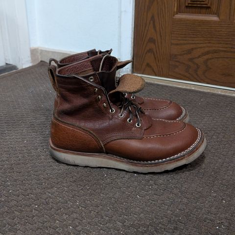 Nicks MTO in Seidel Peanut Tuscon Bison