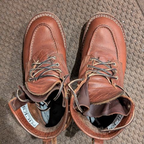 Nicks MTO in Seidel Peanut Tuscon Bison