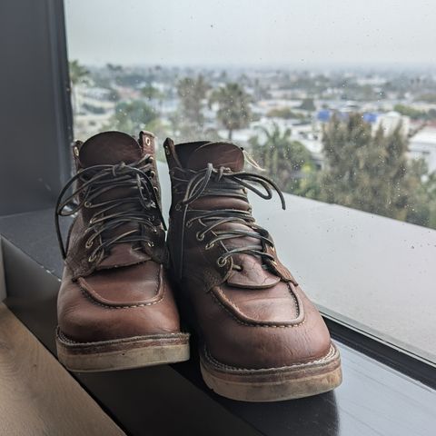 Nicks MTO in Seidel Peanut Tuscon Bison