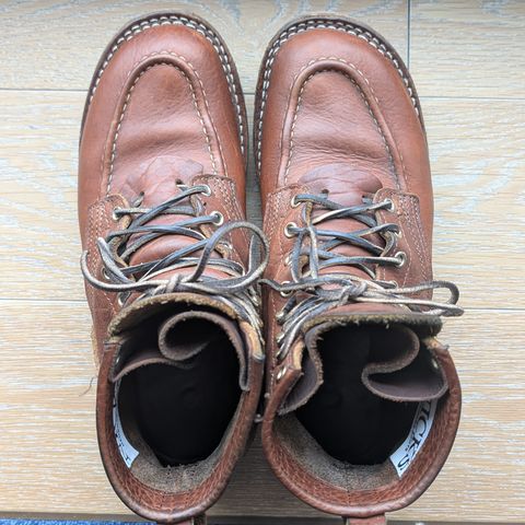 Nicks MTO in Seidel Peanut Tuscon Bison