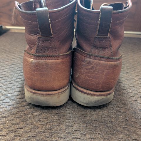 Nicks MTO in Seidel Peanut Tuscon Bison
