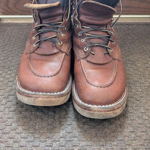 Nicks MTO in Seidel Peanut Tuscon Bison