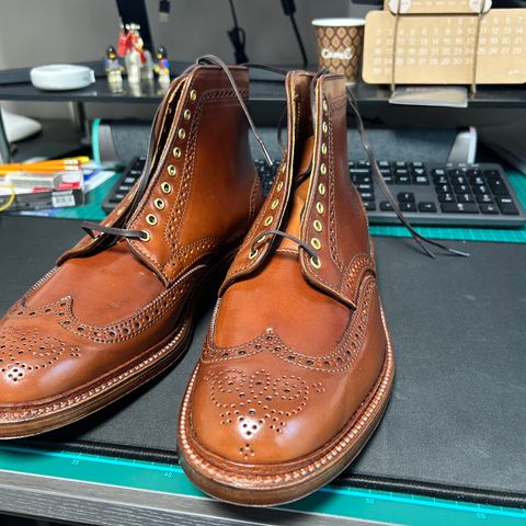 Alden Wingtip Boot in Horween Amaretto Shell Cordovan