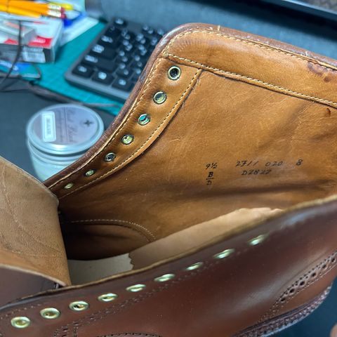 Alden Wingtip Boot in Horween Amaretto Shell Cordovan