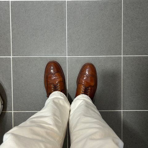 Alden Wingtip Boot in Horween Amaretto Shell Cordovan