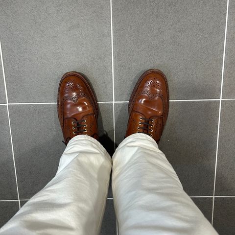 Alden Wingtip Boot in Horween Amaretto Shell Cordovan