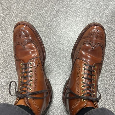 Alden Wingtip Boot in Horween Amaretto Shell Cordovan