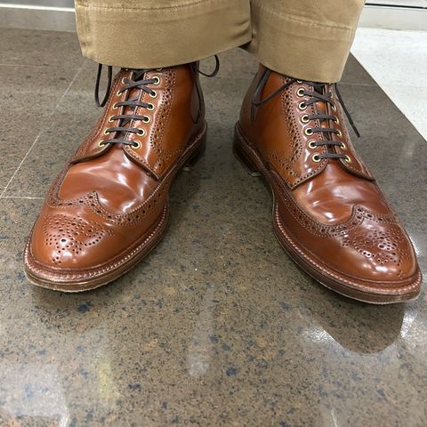 Alden Wingtip Boot in Horween Amaretto Shell Cordovan