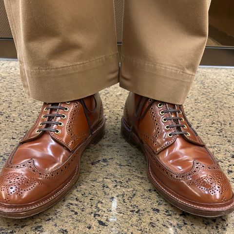 Alden Wingtip Boot in Horween Amaretto Shell Cordovan