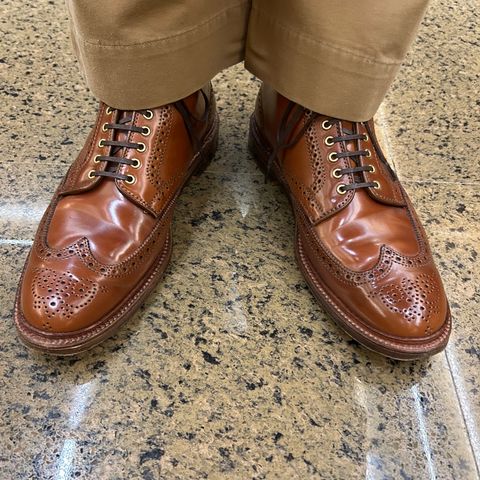 Alden Wingtip Boot in Horween Amaretto Shell Cordovan