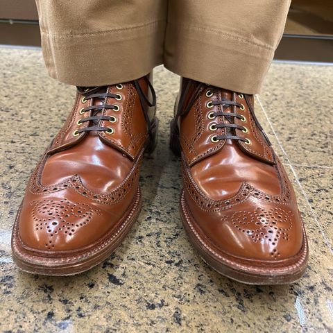 Alden Wingtip Boot in Horween Amaretto Shell Cordovan